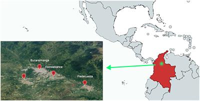 Microfilaremic infection in canine filariosis in Colombia: a challenge in morphological and molecular diagnostics